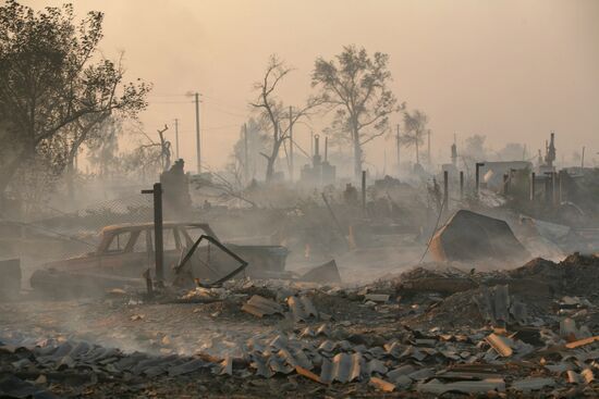 Fires, Altai Territory