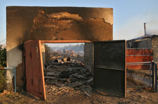 Fires, Altai Territory
