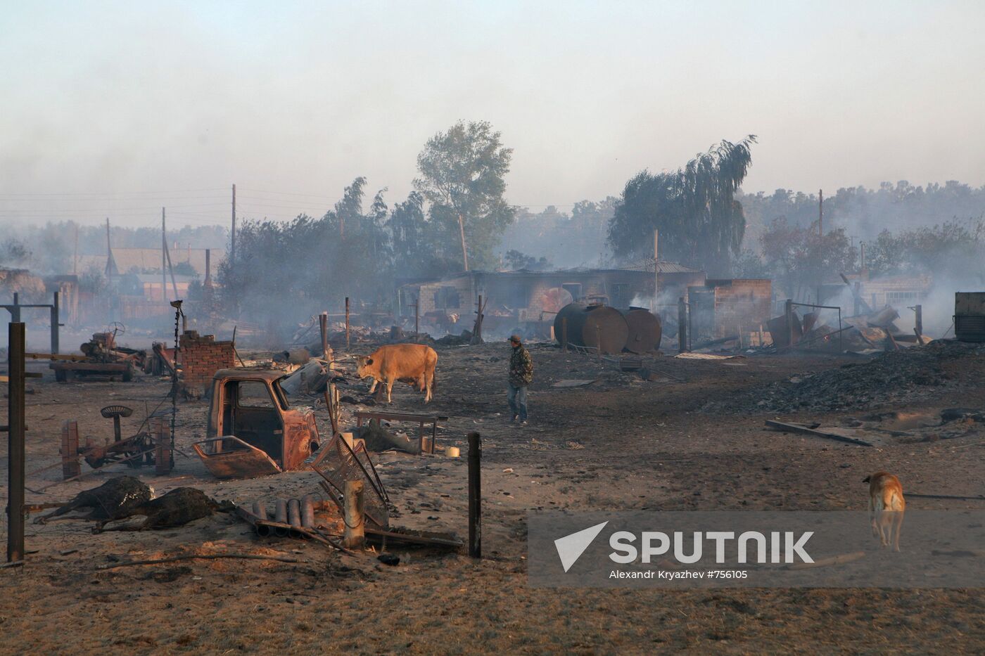 Fires, Altai Territory