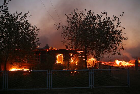 Fires, Altai Territory