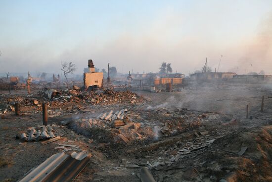 Fires, Altai Territory