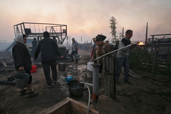Fires, Altai Territory
