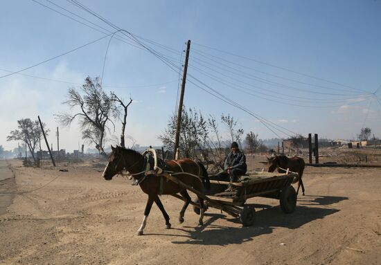 Fire in Altai Region