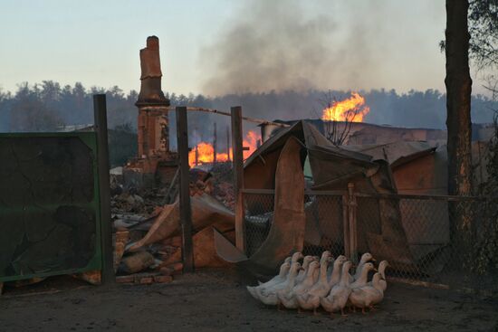 Fire in Altai Region