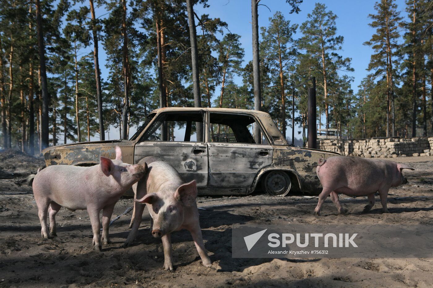 Fire in Altai Region