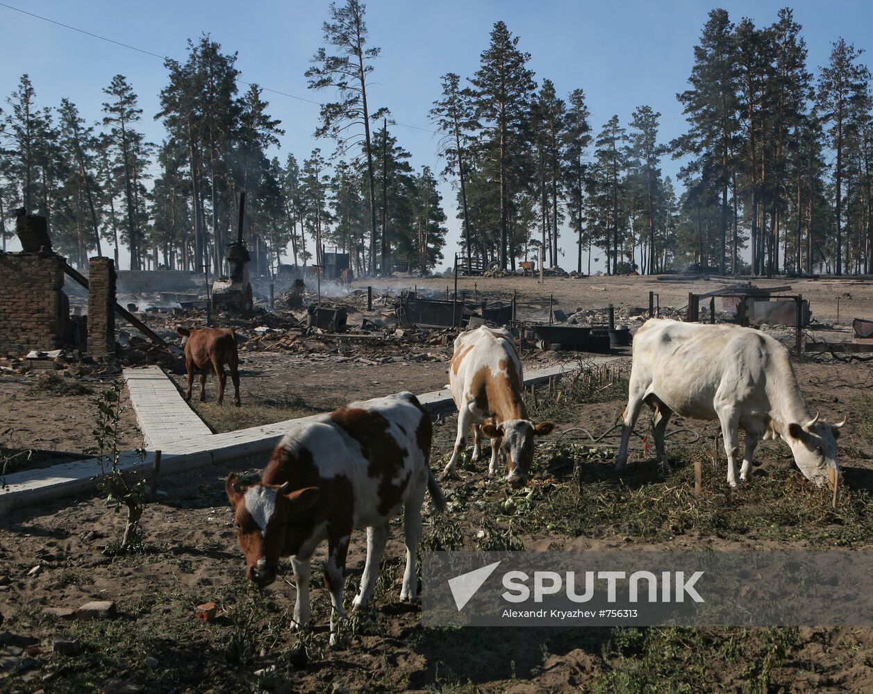 Fire in Altai Region