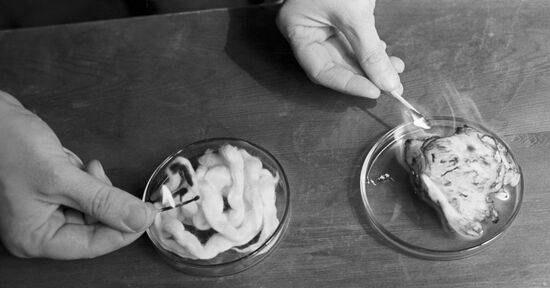 Modified cellulose flame-retardant fiber