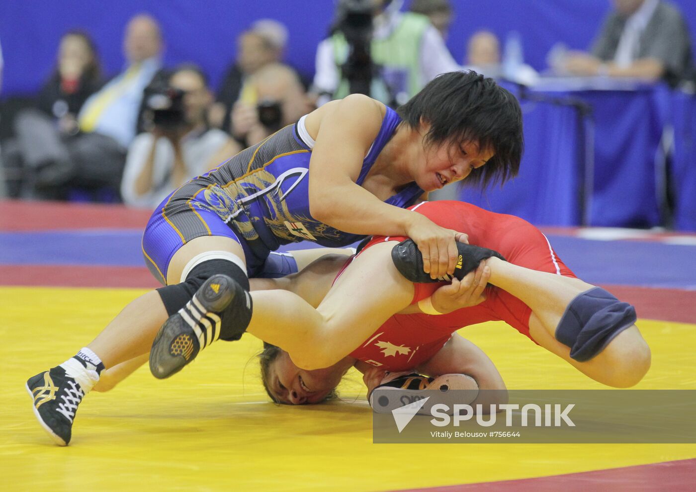 2010 World Wrestling Championship