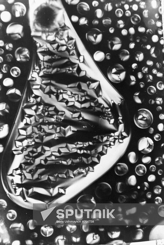 Liquid crytals