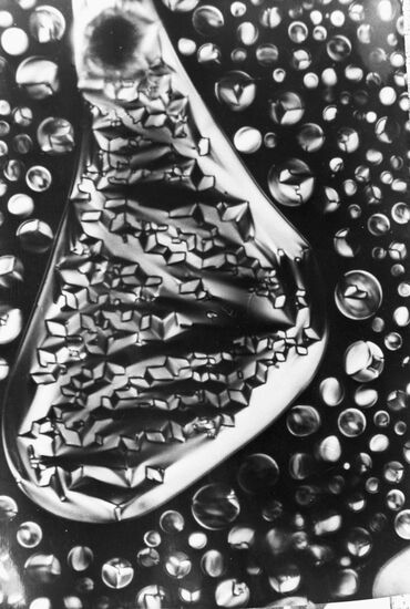 Liquid crytals