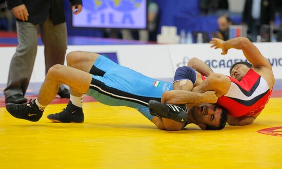 2010 Wrestling World Championships