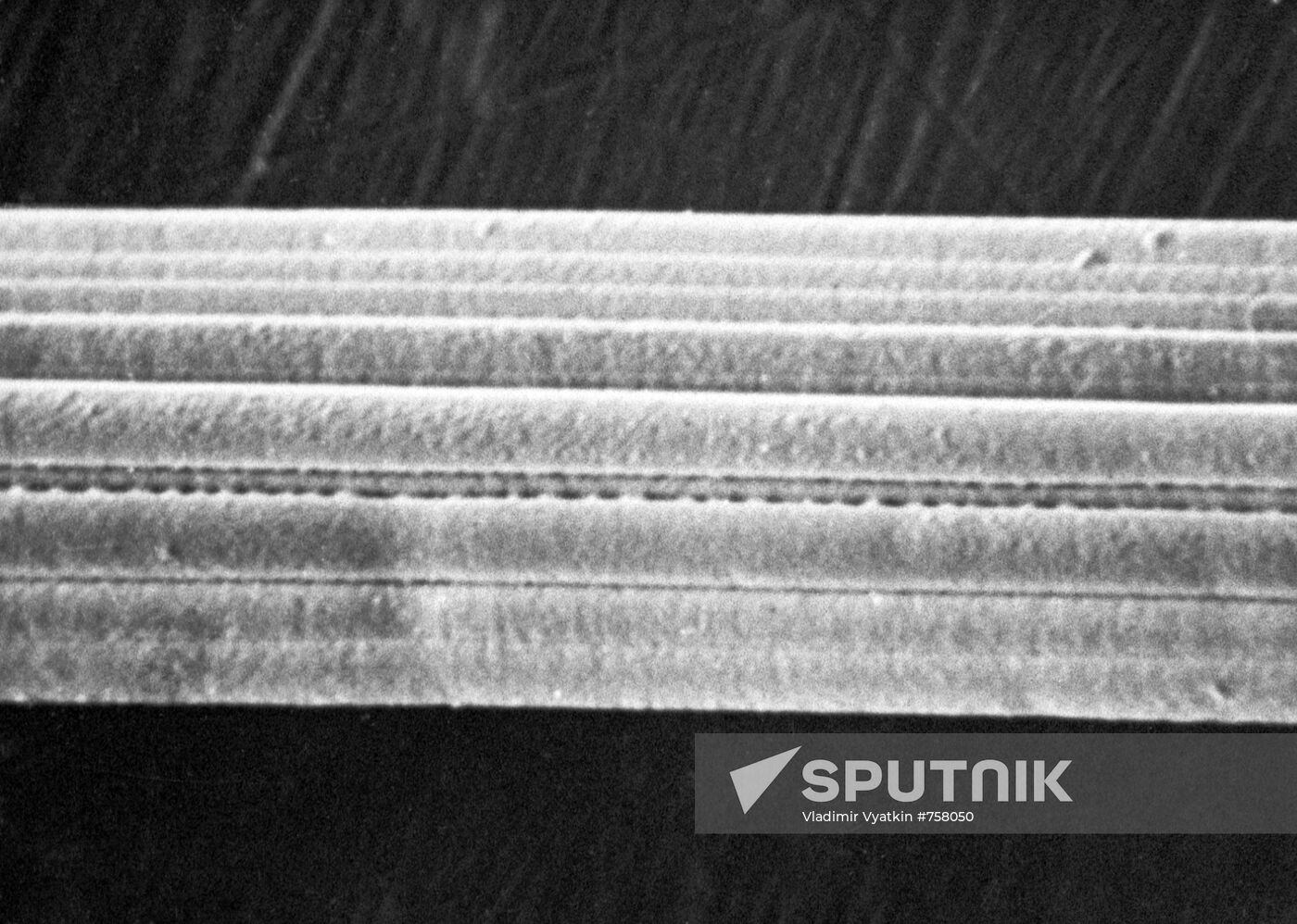 Magnified fiber