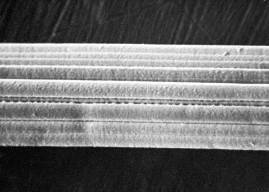 Magnified fiber