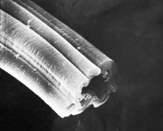 Magnified fiber