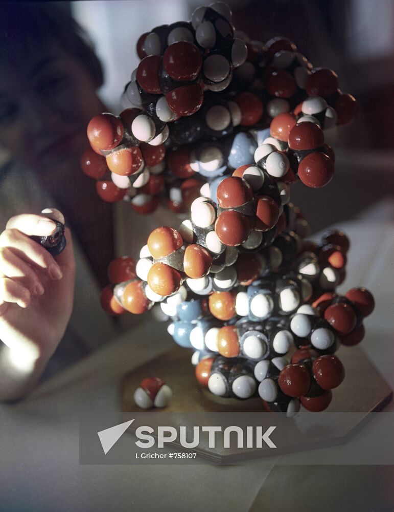 DNA molecule model