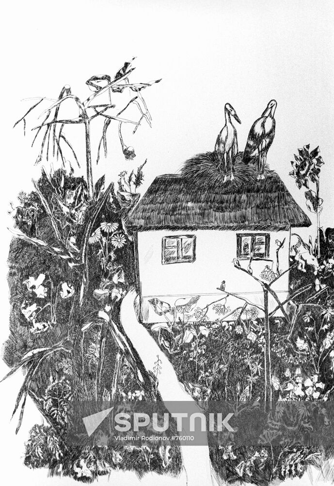 Picture, by Vera Kardash