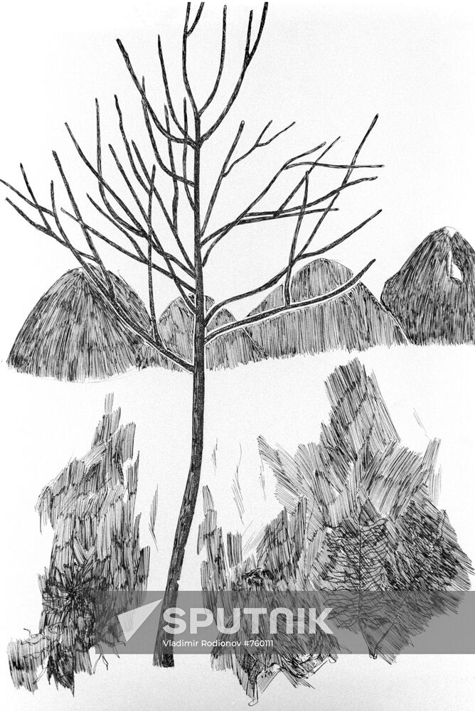 Drawing by Vera Kardash