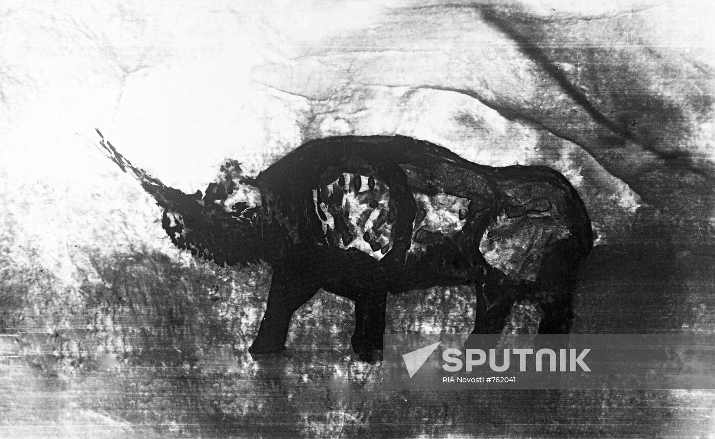Rhinoceros rock painting