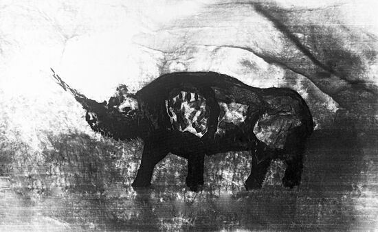 Rhinoceros rock painting