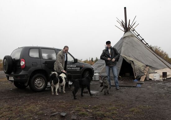 Census of population in Yamalo-Nenets autonomous region