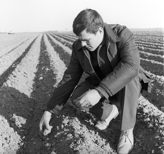 Tomas Kovera