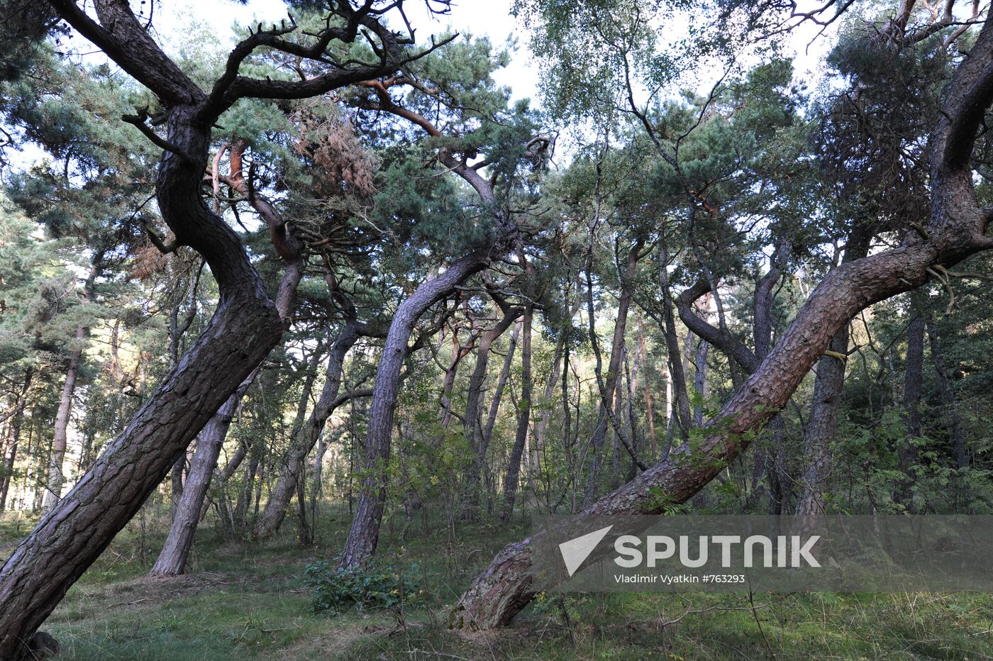 Curonian Spit (Kursiu nerija) National Park, Lithuania