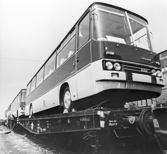 Ikarus buses