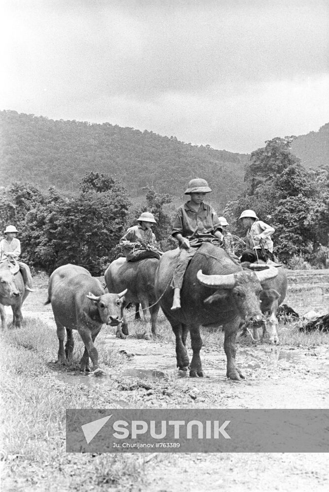 Children in Vetbak
