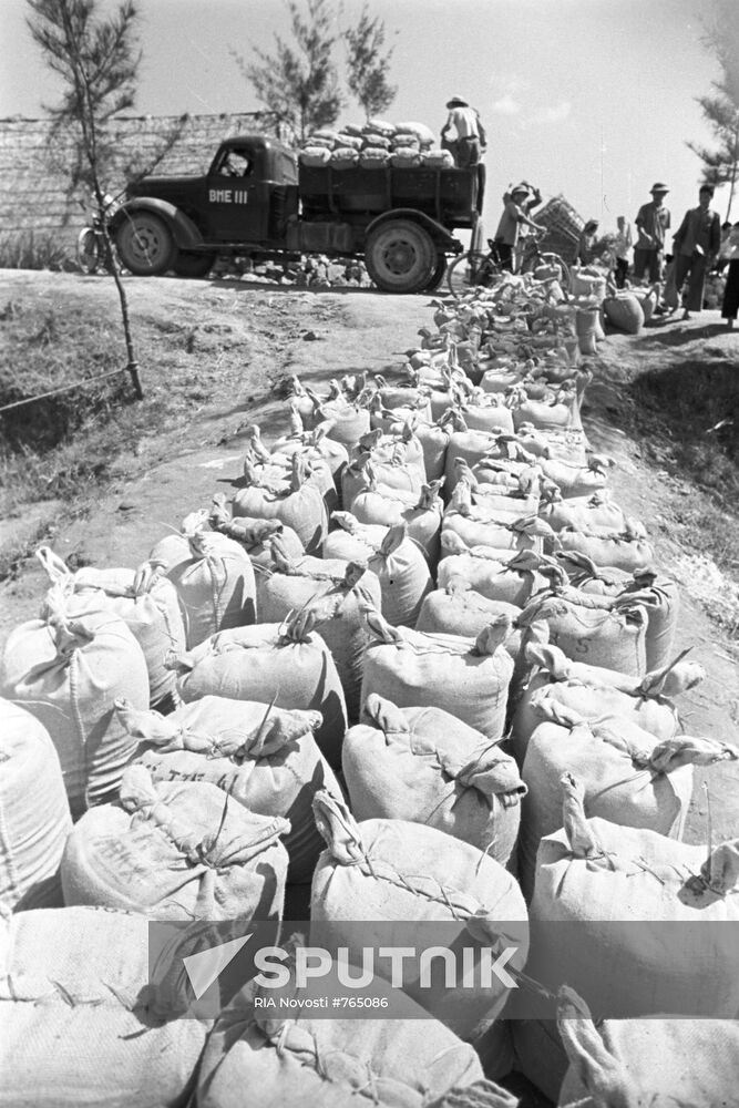 Sacks with common salt