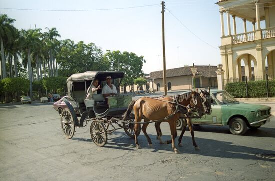 Horse-drawn carriages
