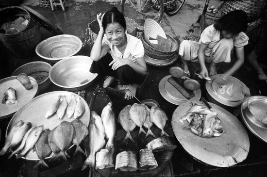 "A Week in Vietnam" series