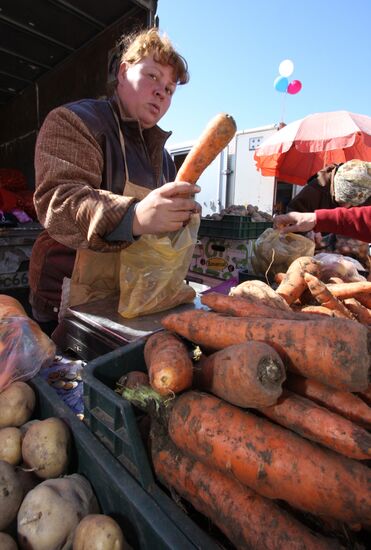 Municipal trade fair on central square, Vladivostok