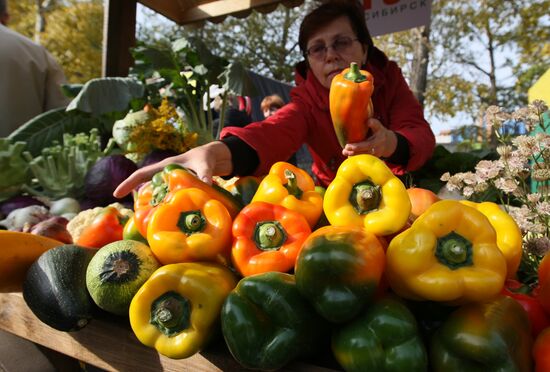Fall farm fair in Novosibirsk