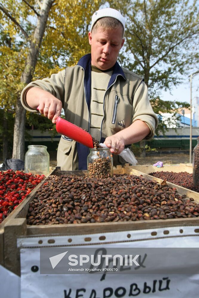 Fall farm fair in Novosibirsk