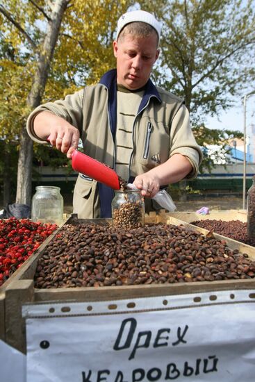 Fall farm fair in Novosibirsk