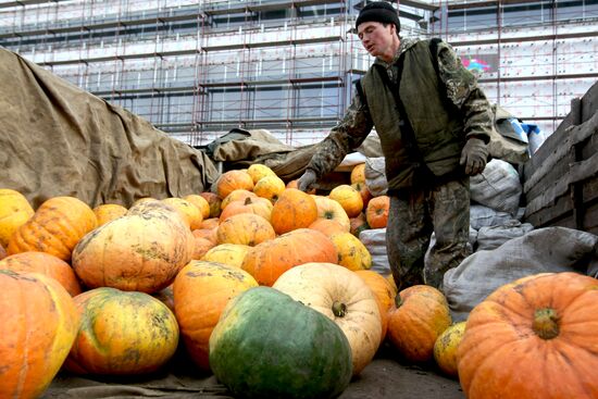 Fall farm fair in Novosibirsk