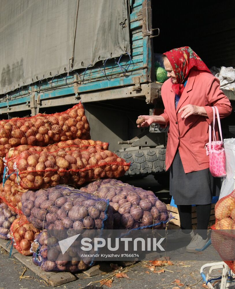 Fall farm fair in Novosibirsk