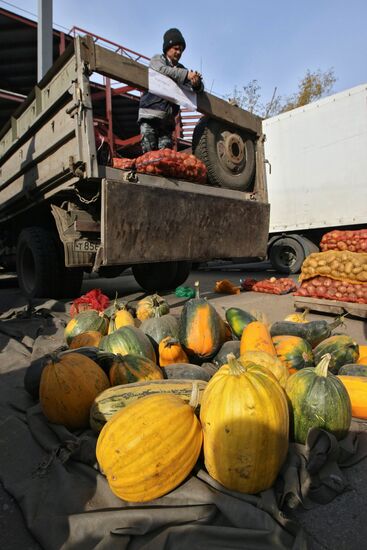 Fall farm fair in Novosibirsk