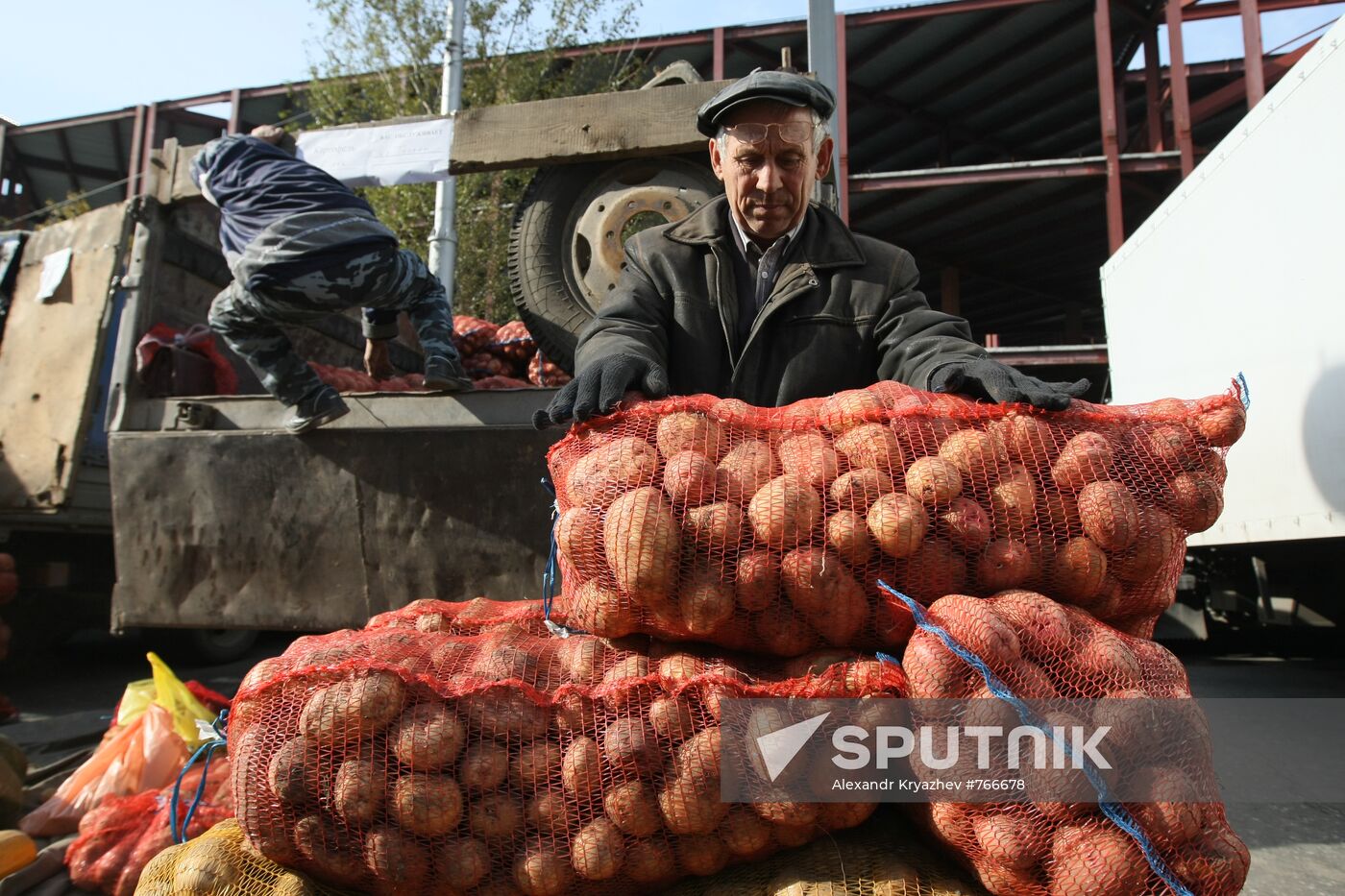Fall farm fair in Novosibirsk