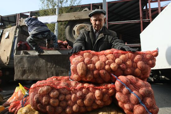 Fall farm fair in Novosibirsk