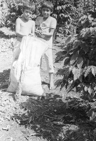 Boy with a sack of coffee beans