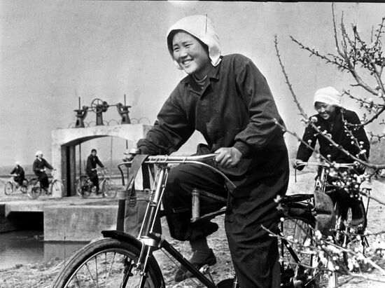 Cooperative workers on bicycles