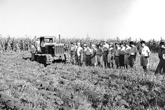 Tractor drivers from Pyongyang agricultural college