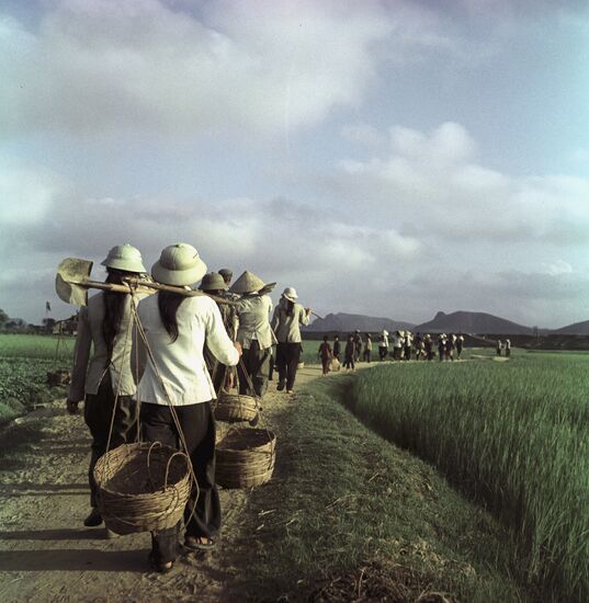 Construction team going to work