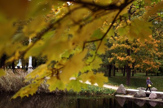 Golden autumn