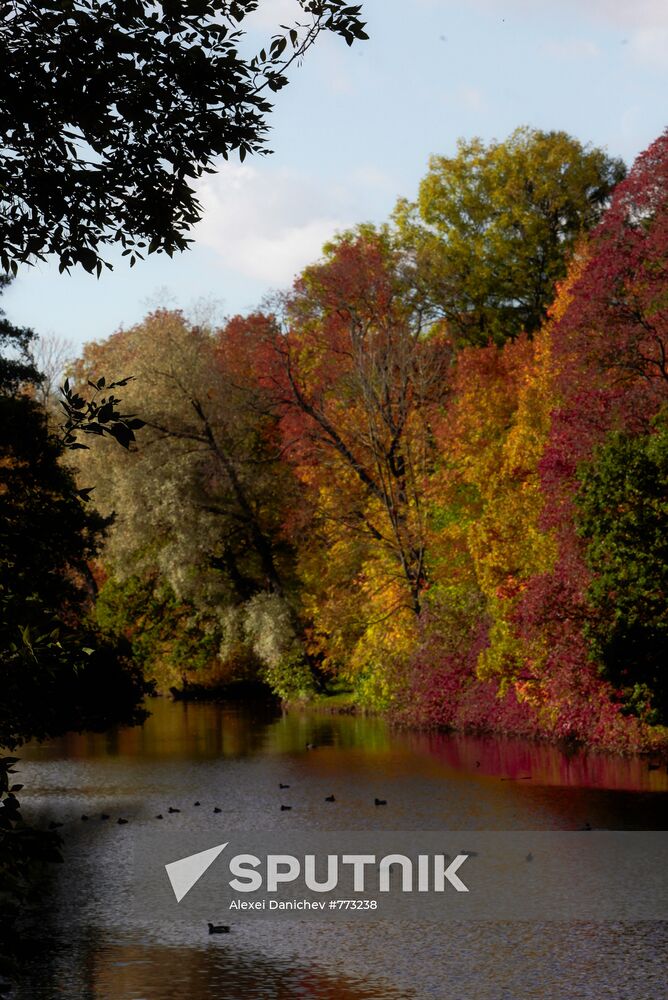 Golden autumn