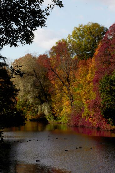 Golden autumn