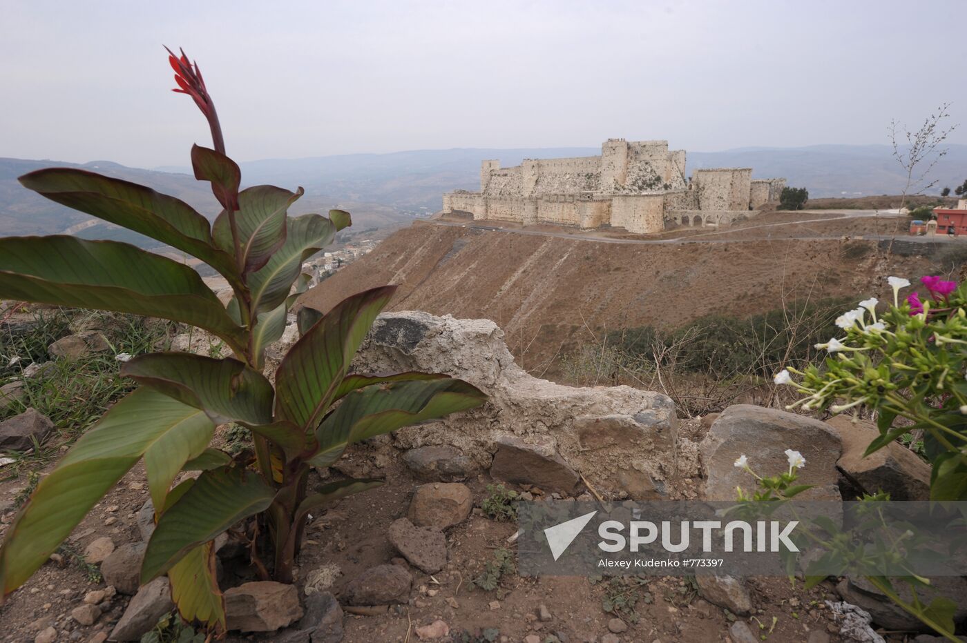 Foreign countries. Syria