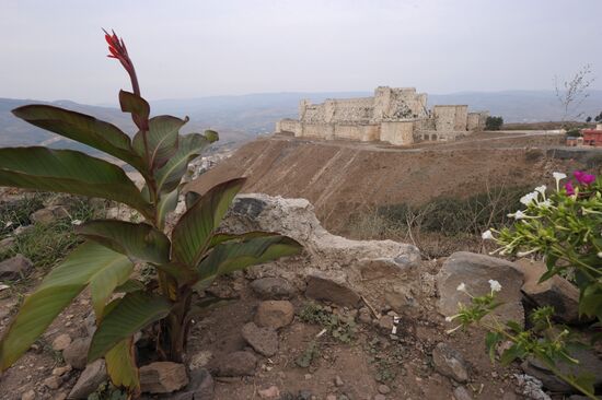 Foreign countries. Syria