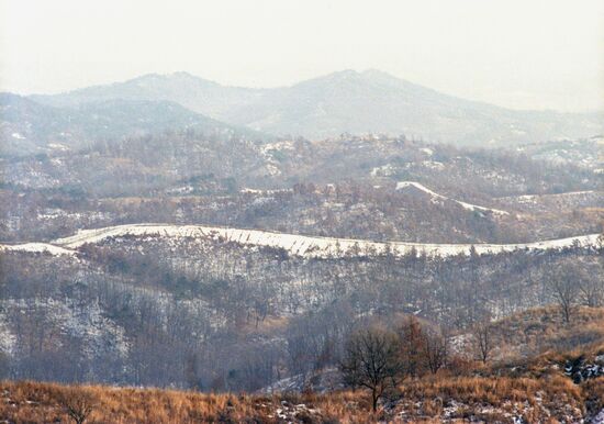 Demilitarized zone